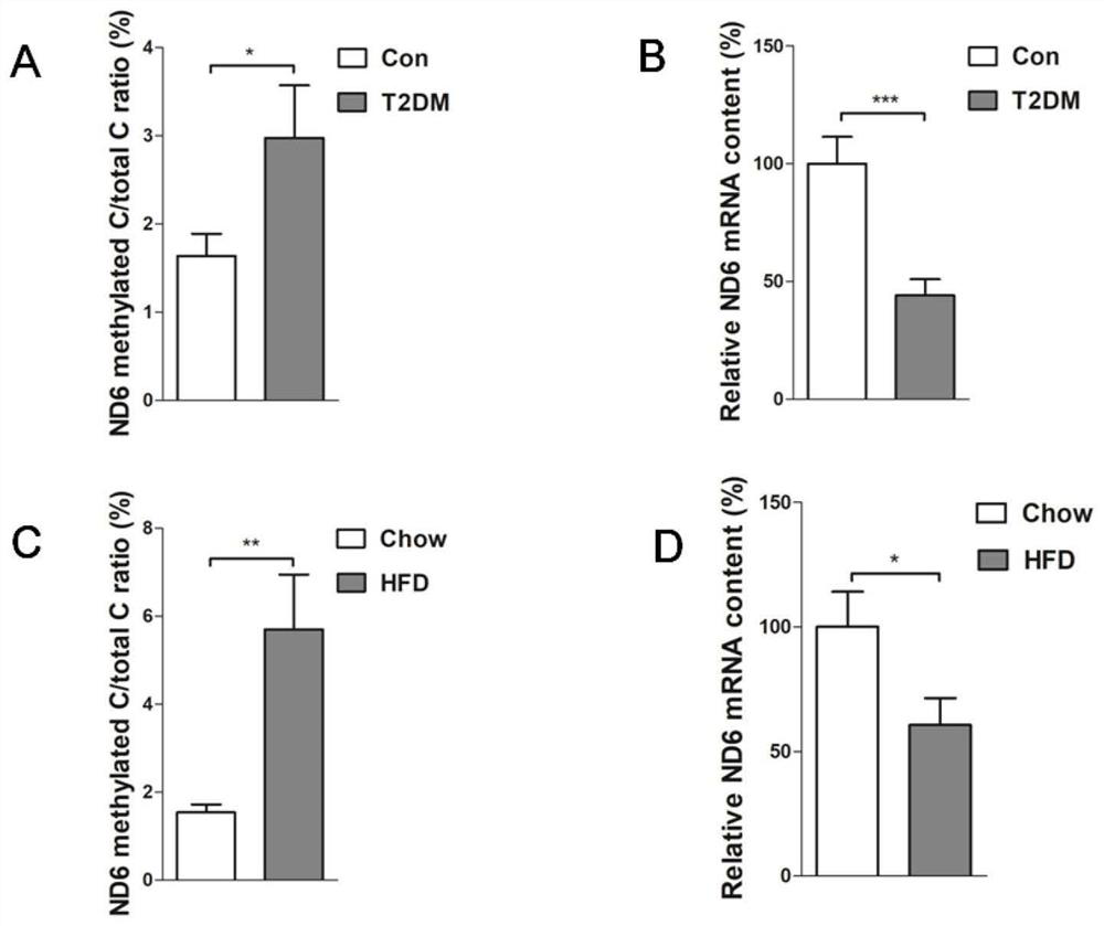 Application of MT-ND6 as new target in metabolic syndrome diagnosis and treatment drugs