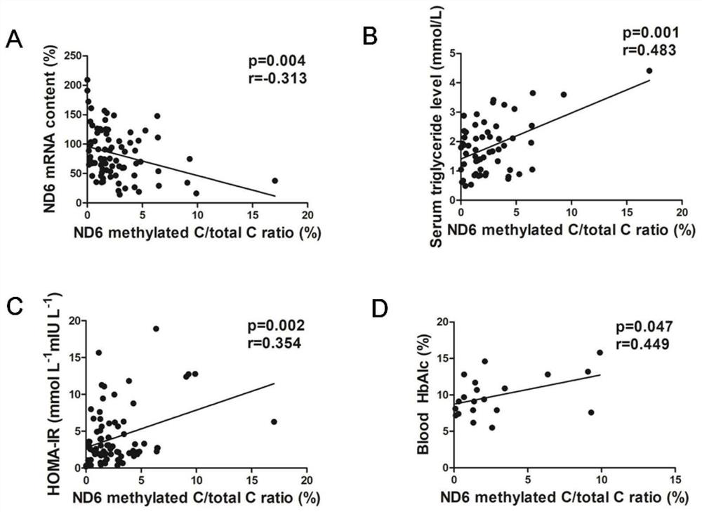 Application of MT-ND6 as new target in metabolic syndrome diagnosis and treatment drugs