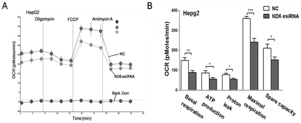 Application of MT-ND6 as new target in metabolic syndrome diagnosis and treatment drugs