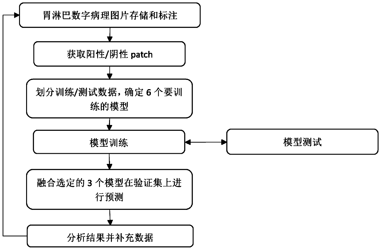 Method and device for identifying pathological pictures