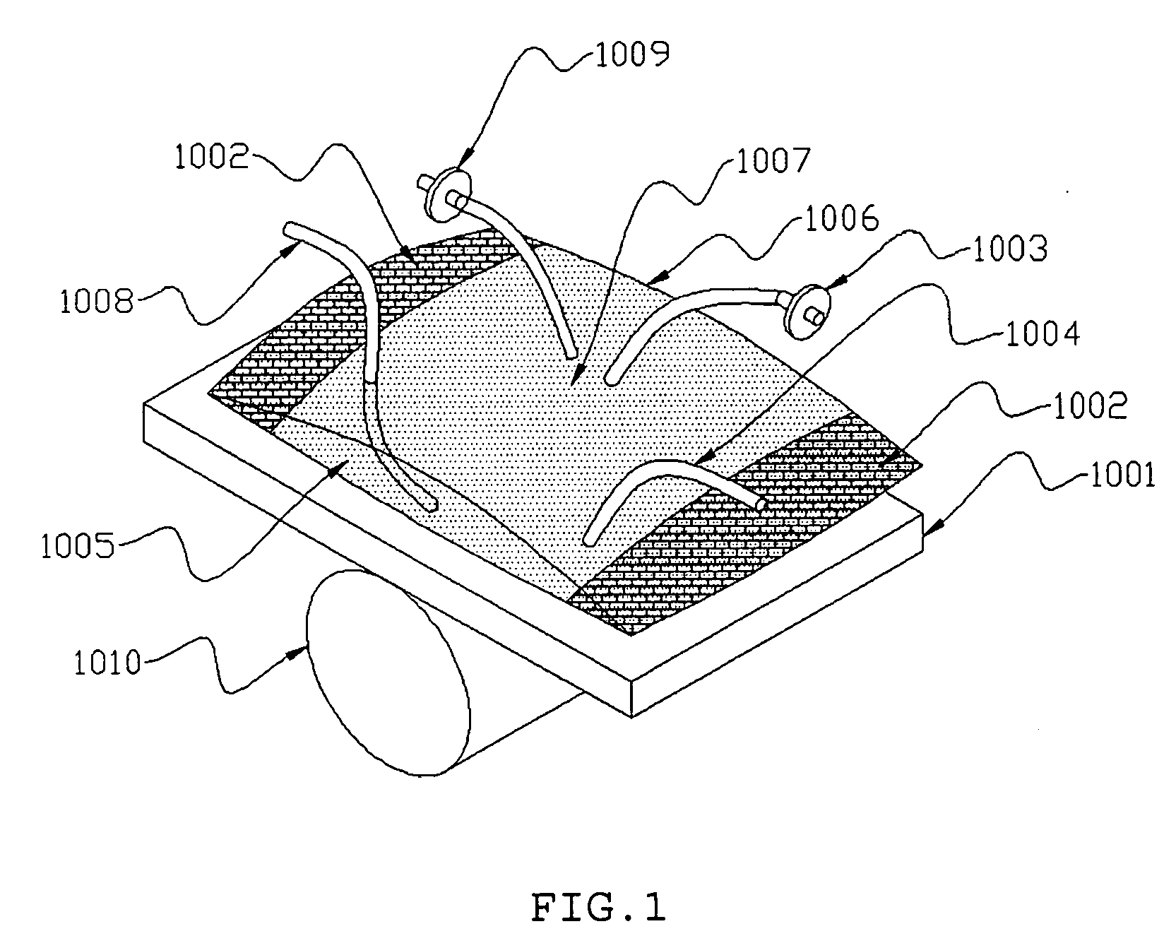 Apparatus and method for preparing and culturing cells