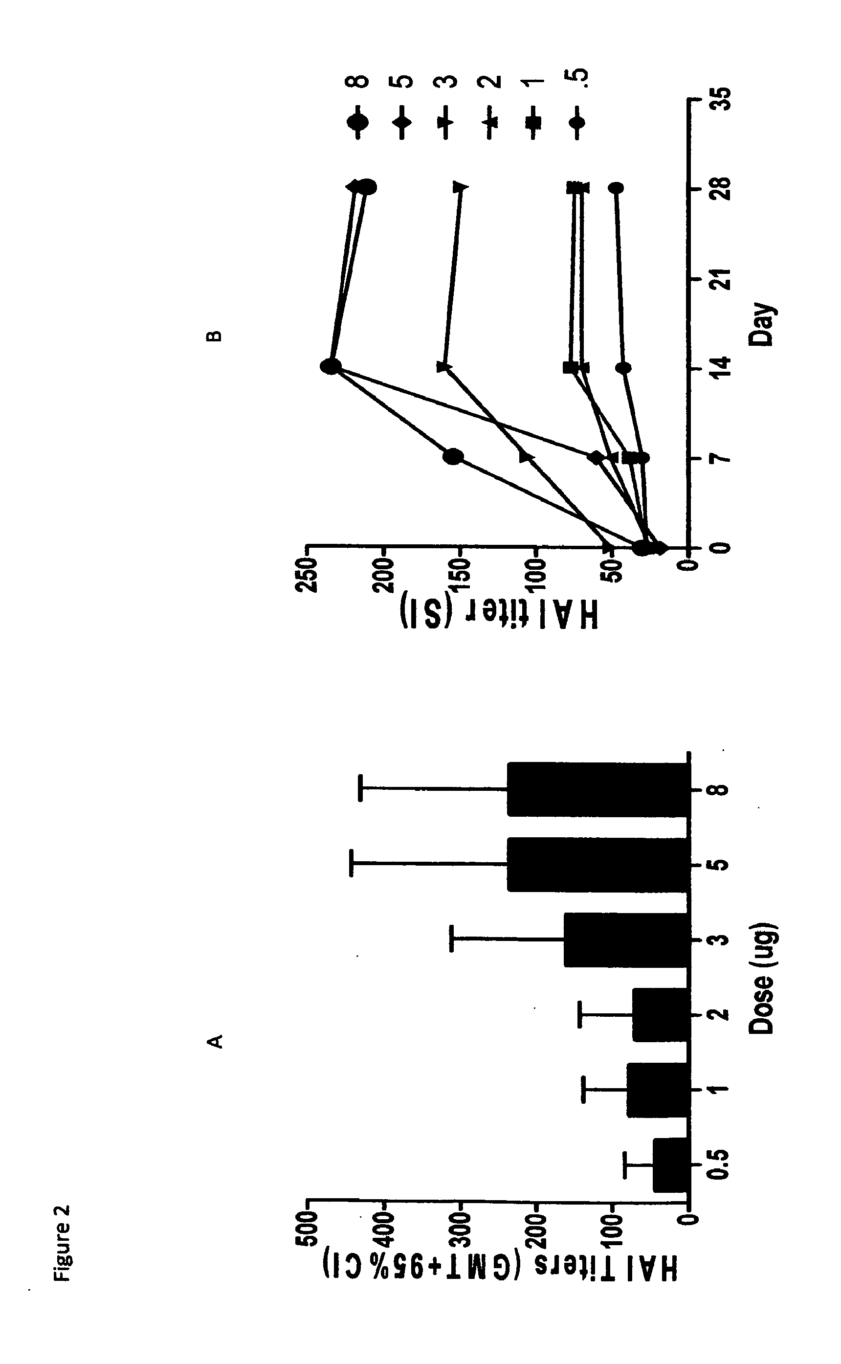 Methods and Compositions for Providing Protective Immunity in the Elderly