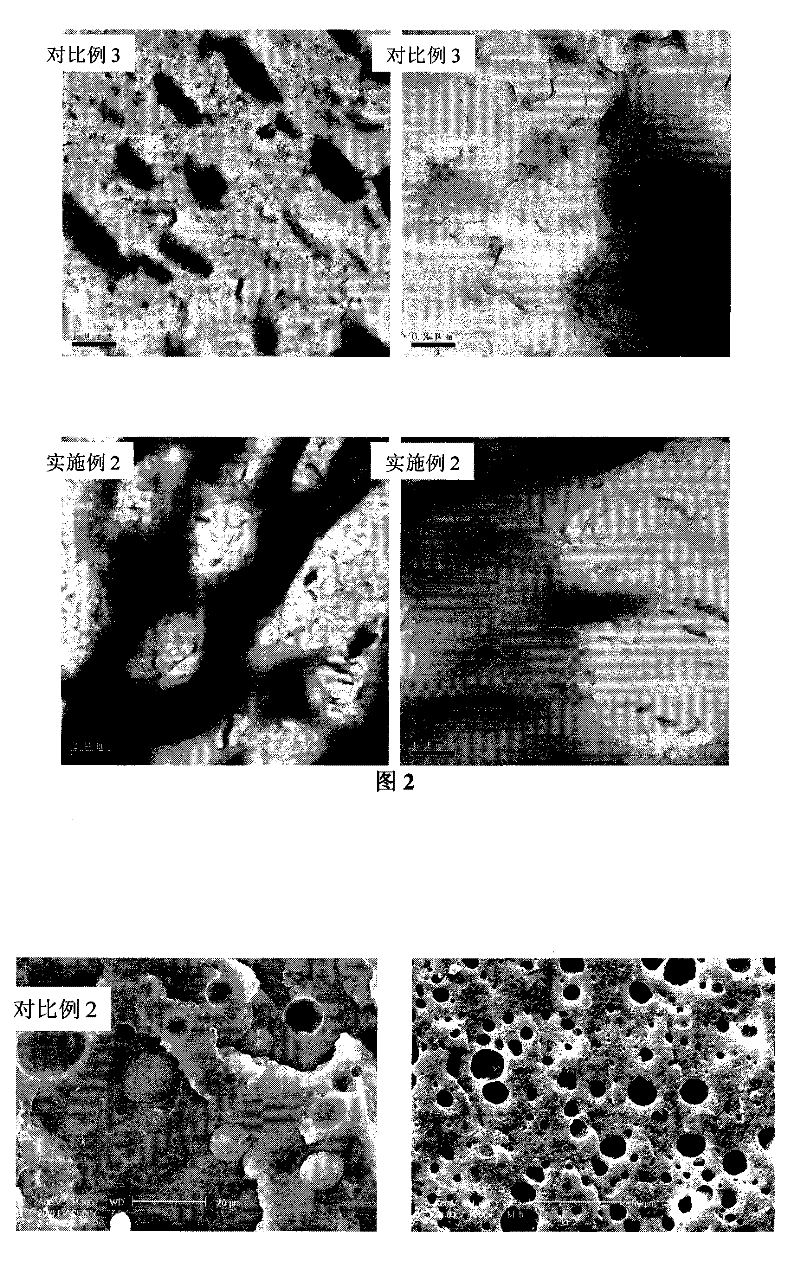 Bicontinuous biomacromolecule ternary nanometer composite material and preparation method thereof