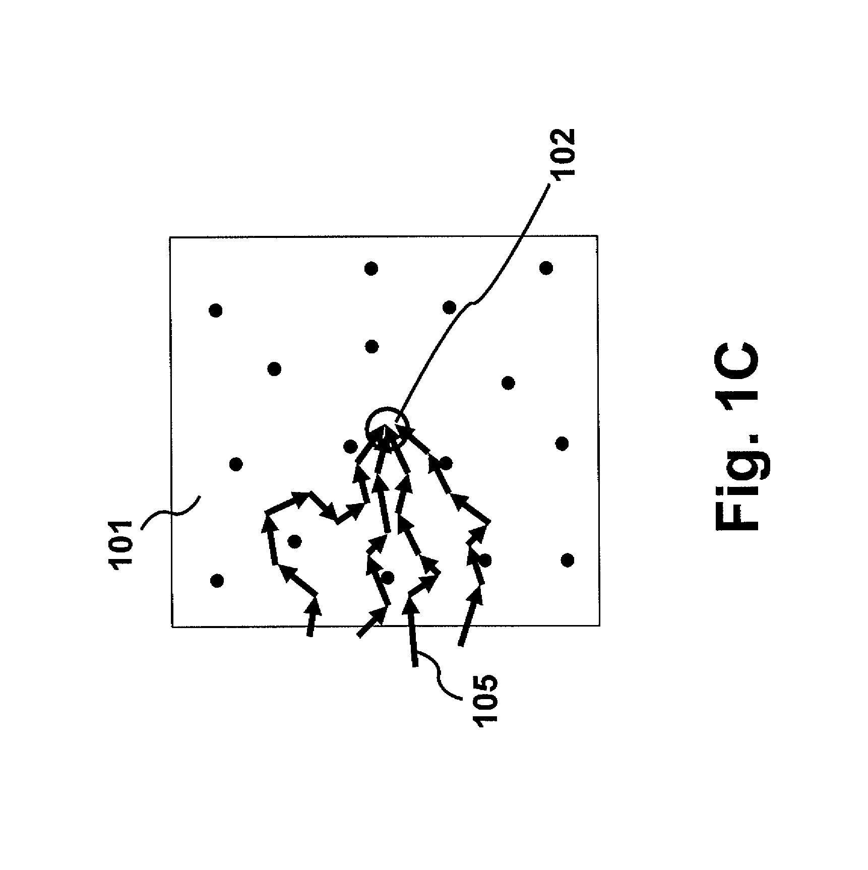 Apparatus and method for irradiating a scattering medium with a reconstructive wave