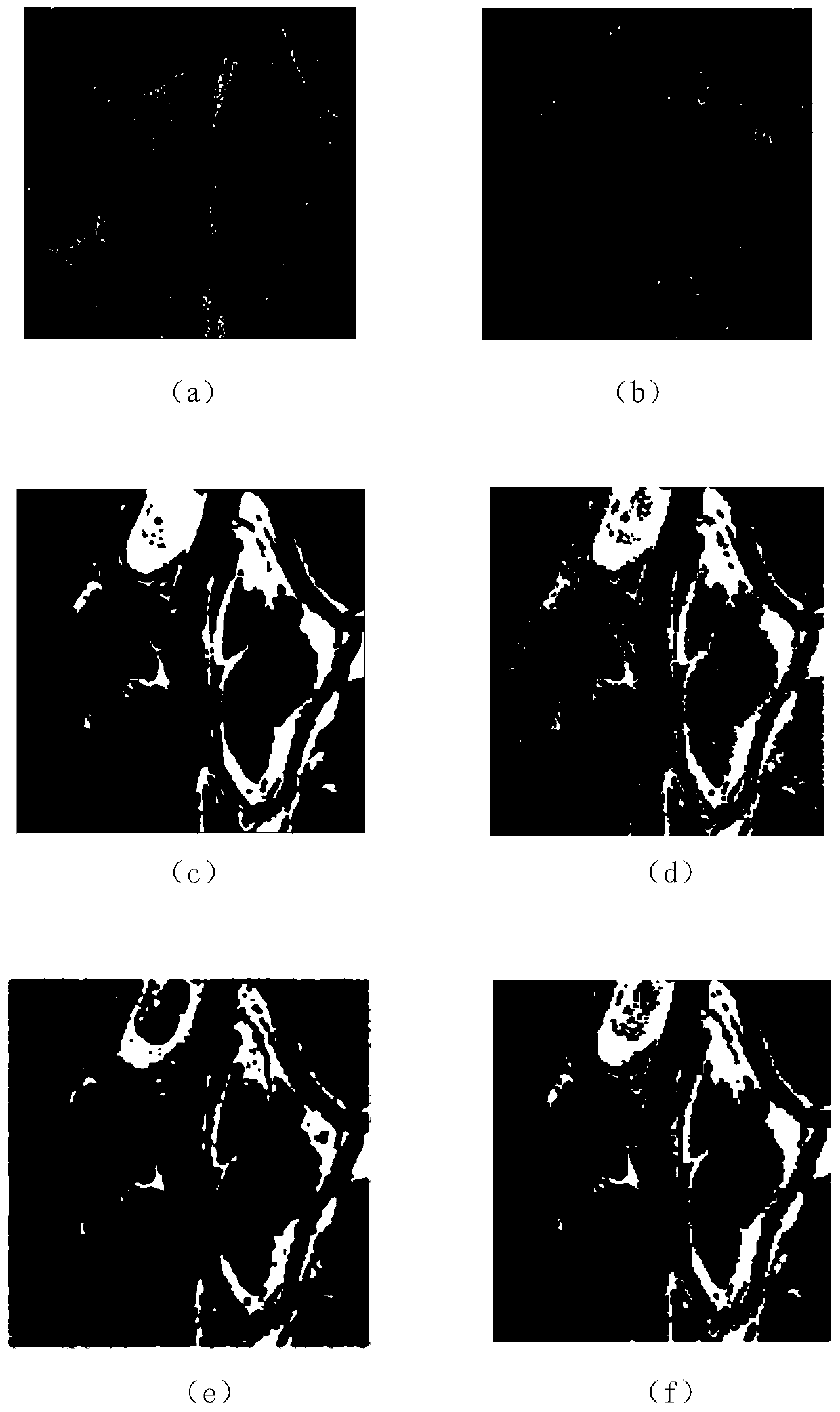 Algorithm for detection of changing regions in sar images based on neighborhood ratio and self-paced learning