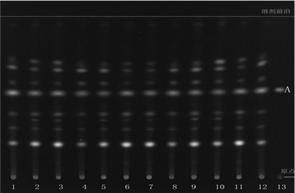 Quality detection method of eleutherine plicata