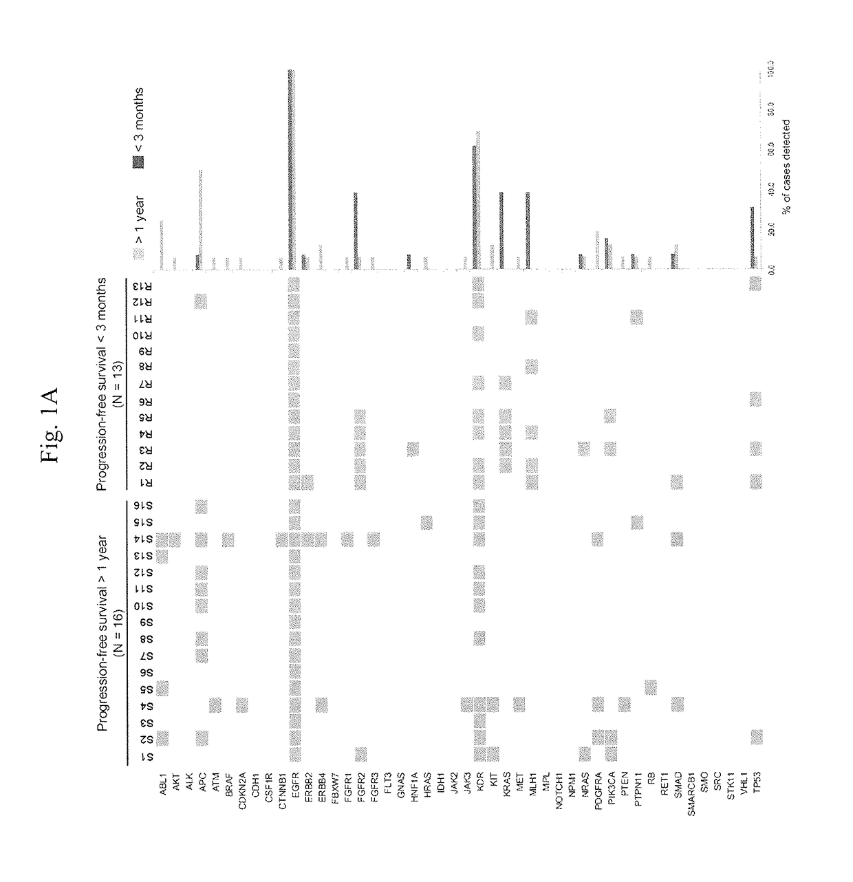 Method for evaluating the efficacy of an egfr-tki treatment