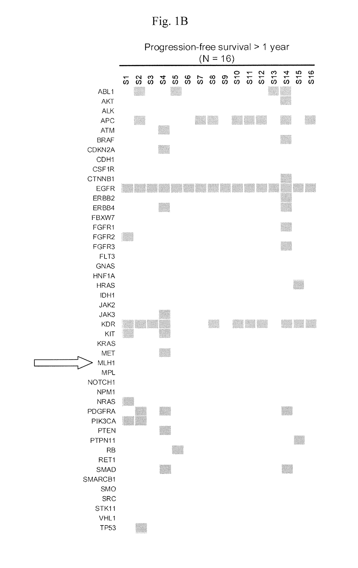 Method for evaluating the efficacy of an egfr-tki treatment