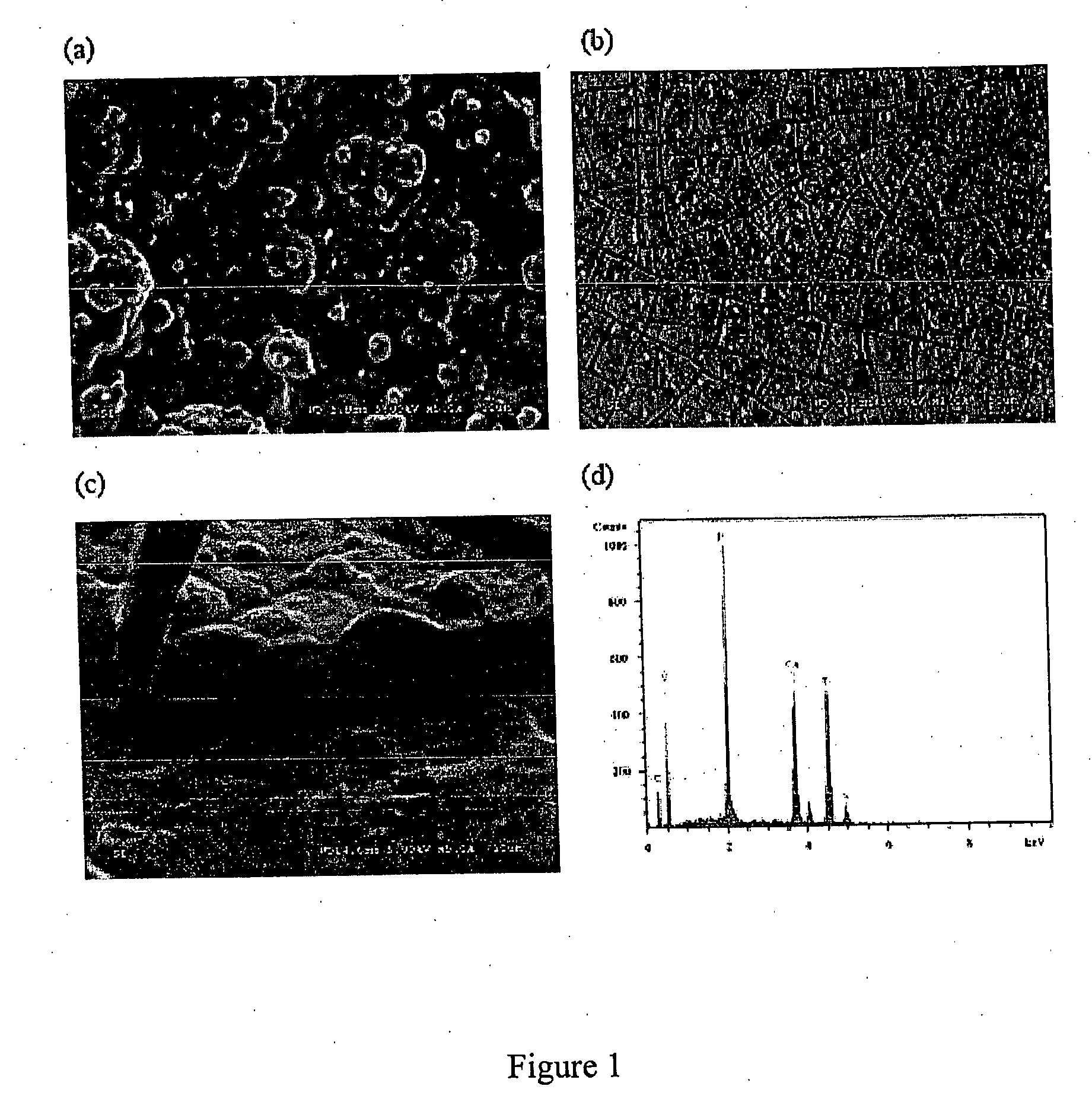 Method of electrolytically depositing a pharmaceutical coating onto a conductive osteal implant