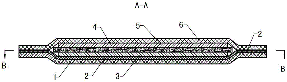 Preparation method of ion induction patch