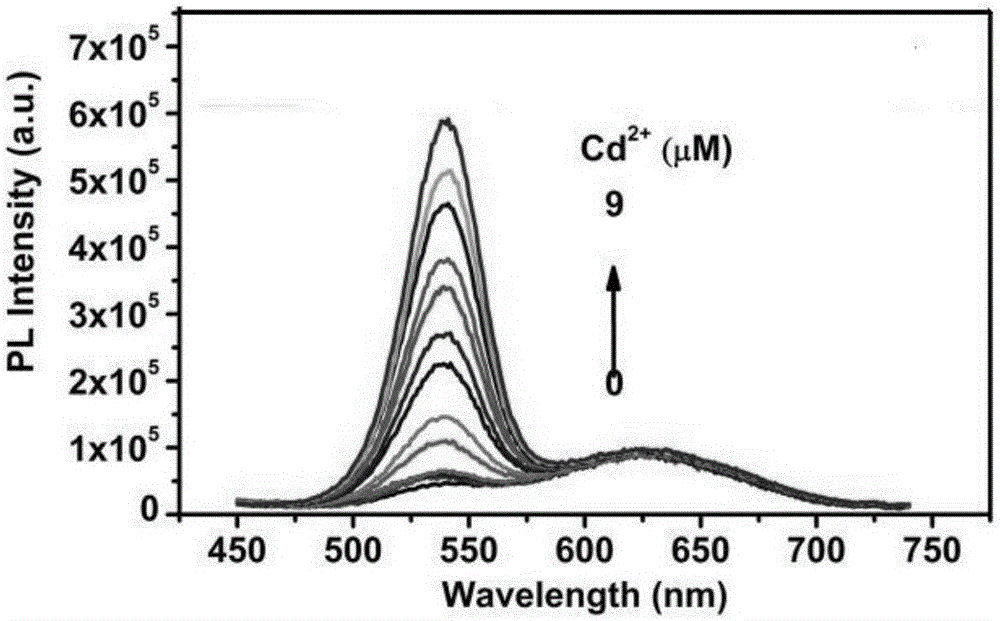 Ratiometric fluorescent probe based on ion imprinting, preparation and application thereof