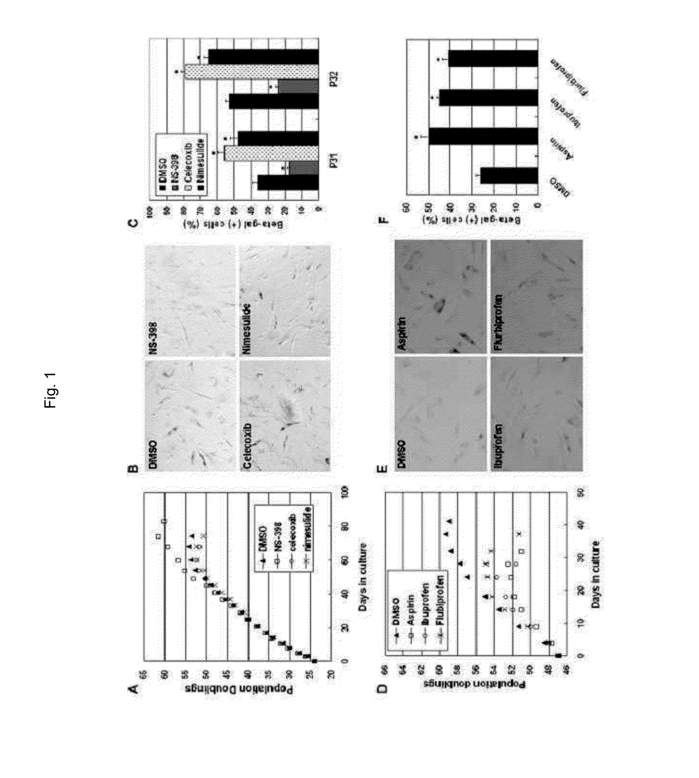 Composition for regulating cellular senescence comprising n-[2-(cyclohexy-loxyl)-4-nitrophenyl]-methanesulfonamide