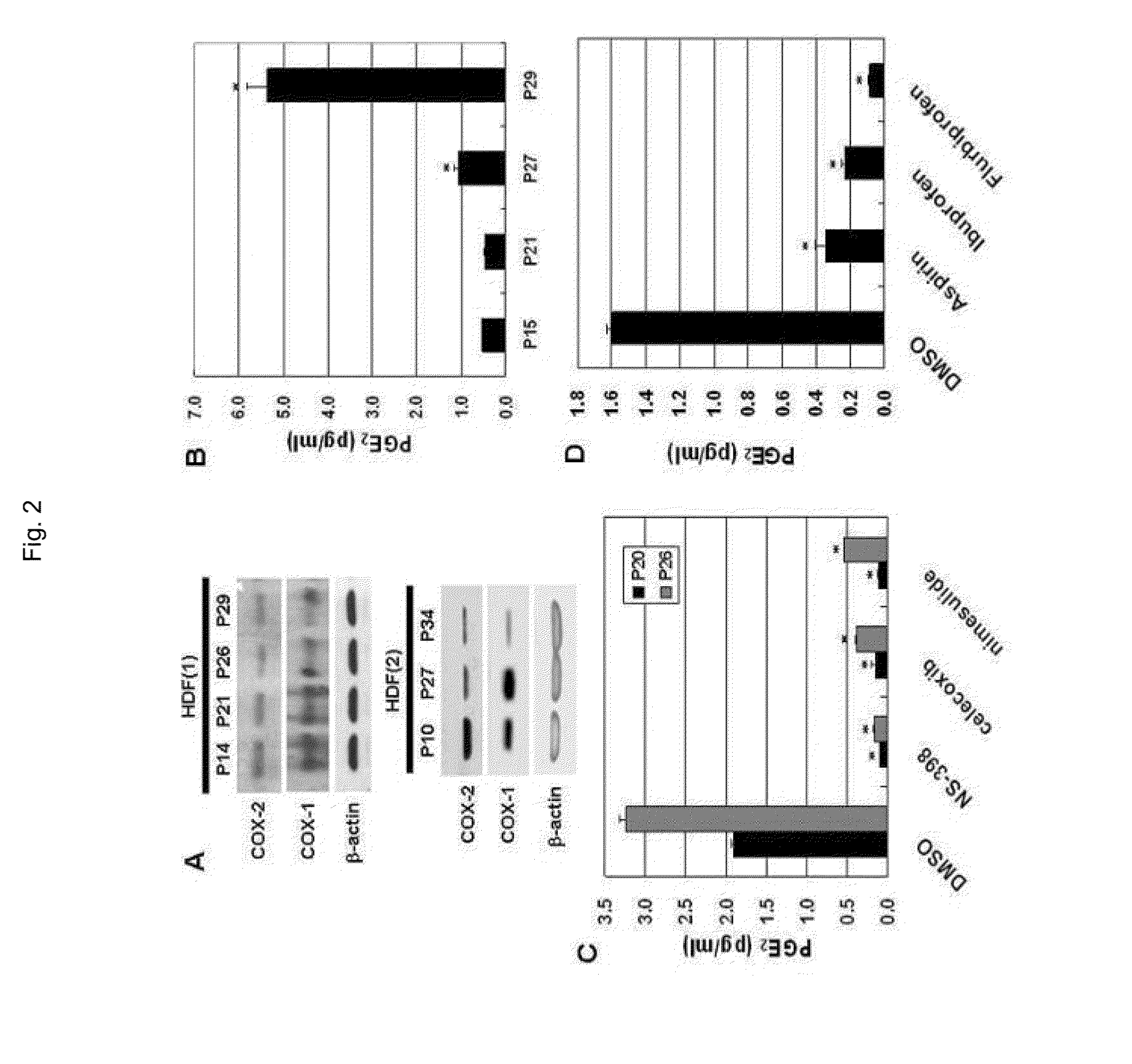 Composition for regulating cellular senescence comprising n-[2-(cyclohexy-loxyl)-4-nitrophenyl]-methanesulfonamide