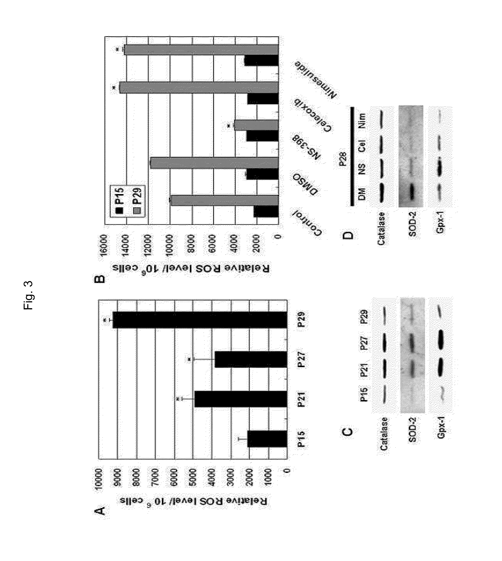 Composition for regulating cellular senescence comprising n-[2-(cyclohexy-loxyl)-4-nitrophenyl]-methanesulfonamide