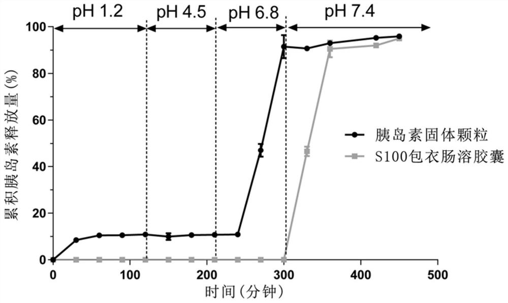 Solid particles loaded with polypeptide protein drugs, double enteric solid preparations containing the particles, preparation method and application thereof