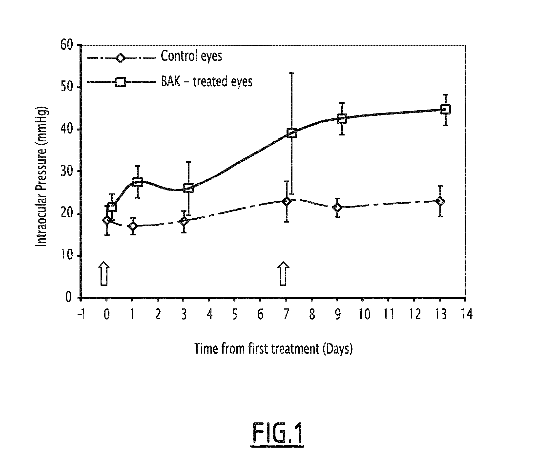 Method for increasing the intraocular pressure in an animal