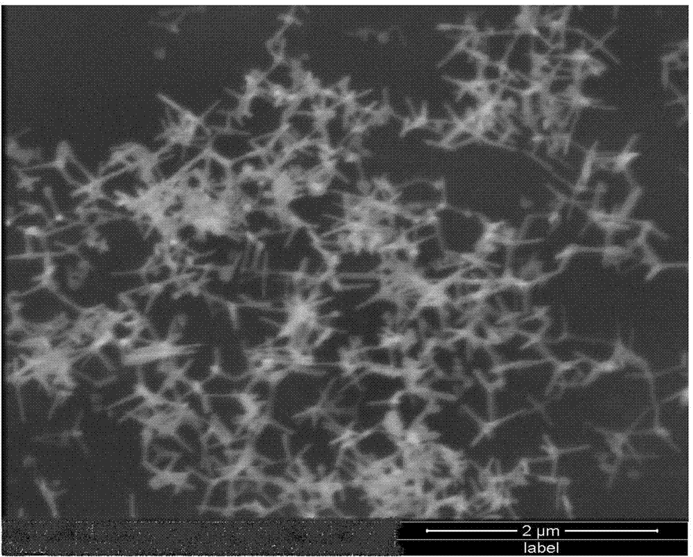 Method for preparing tetrapod-like zinc oxide nanorod