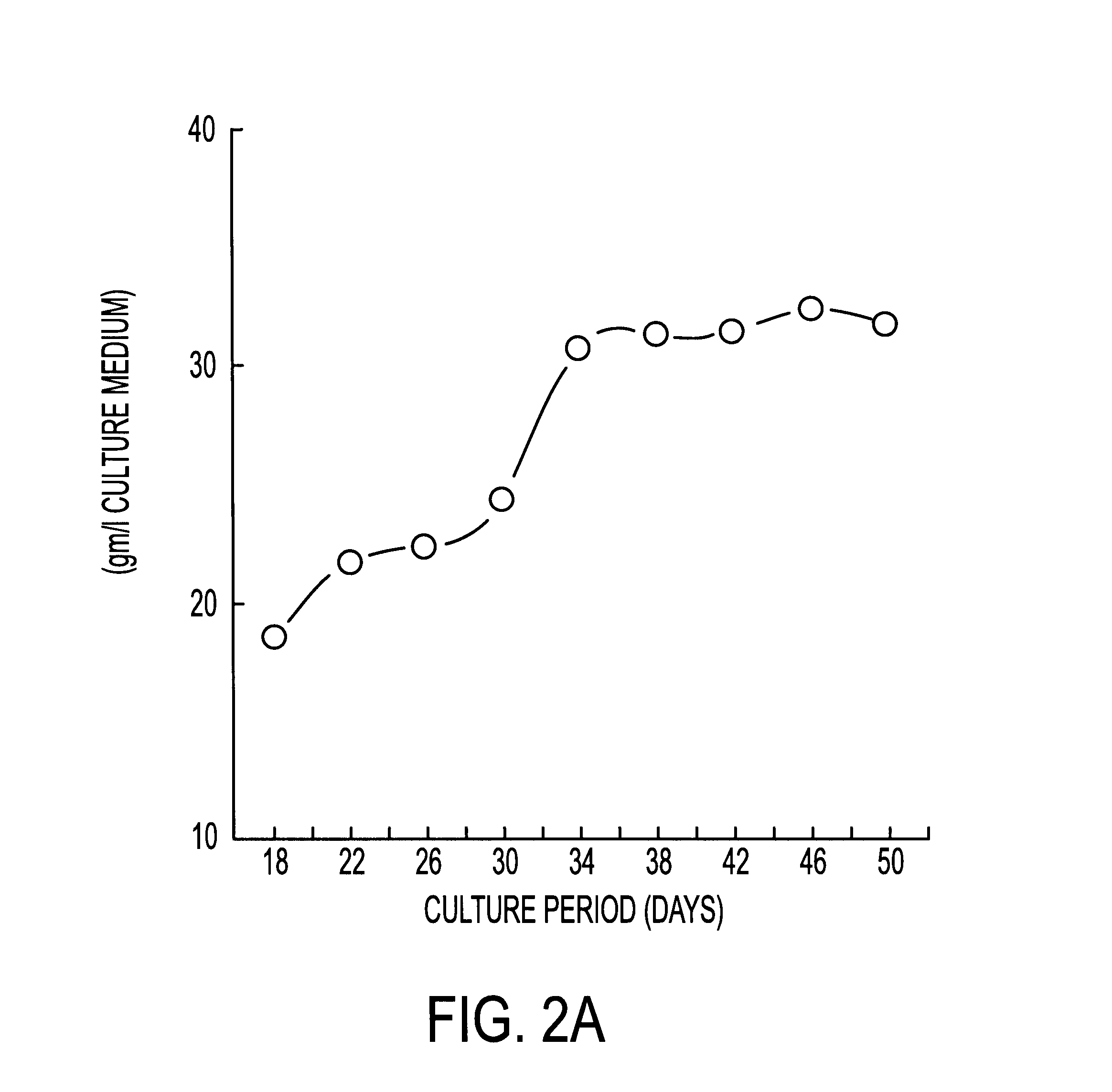 Method for propagating fungi using solid state fermentation
