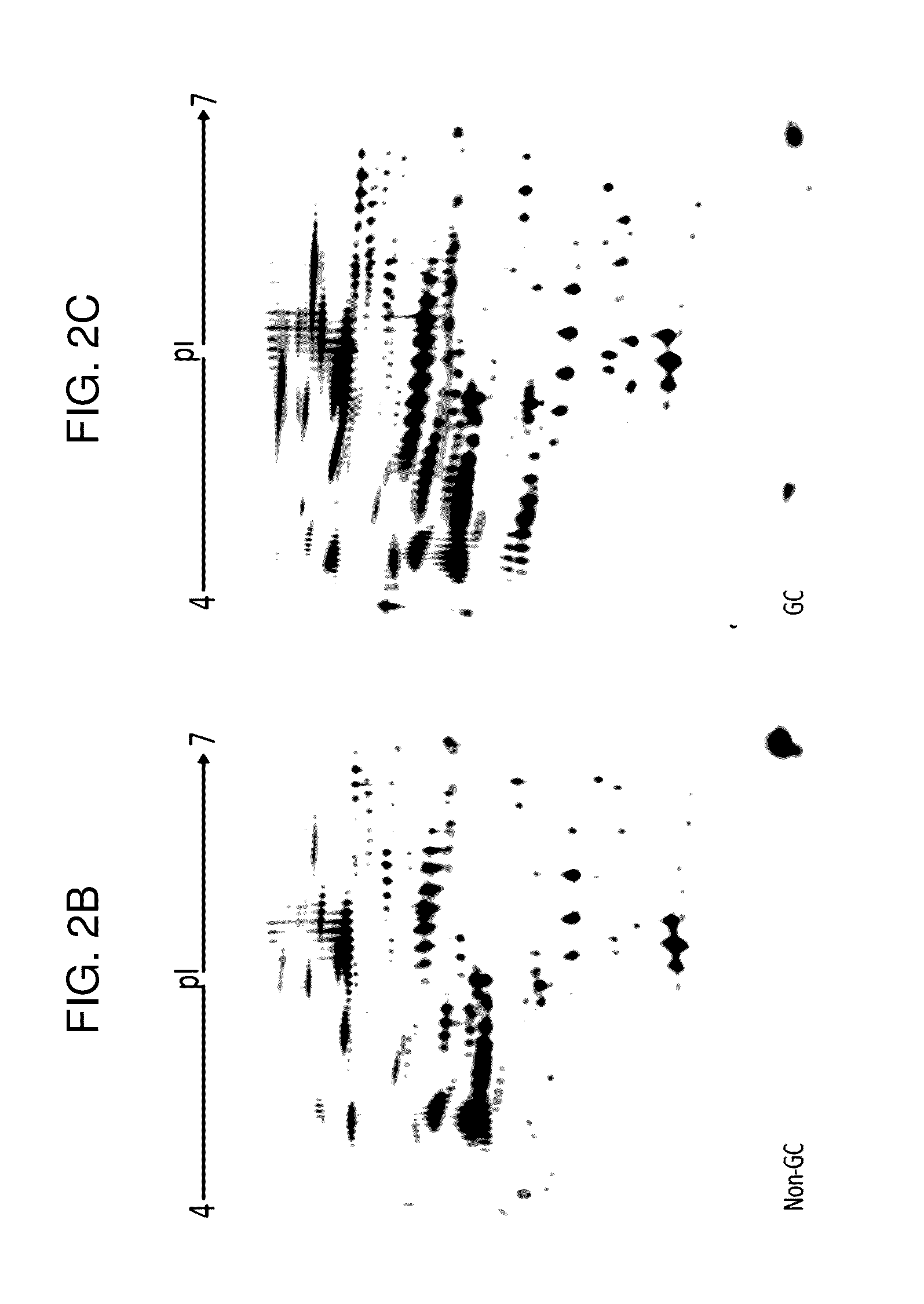 Biomarkers for gastric cancer and uses thereof