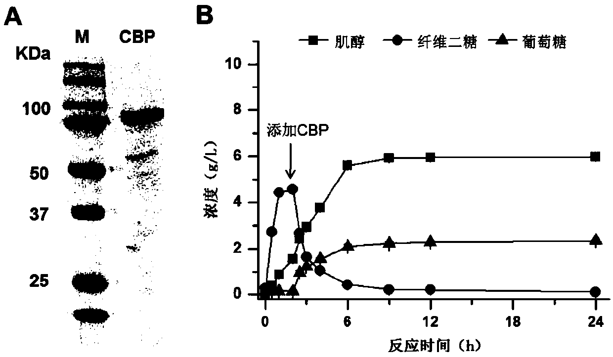 Method for producing inositol by complete phosphorolysis of cellulose