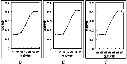 Stem cell preparation for treating ischemic cardiomyopathy and preparation method of stem cell preparation