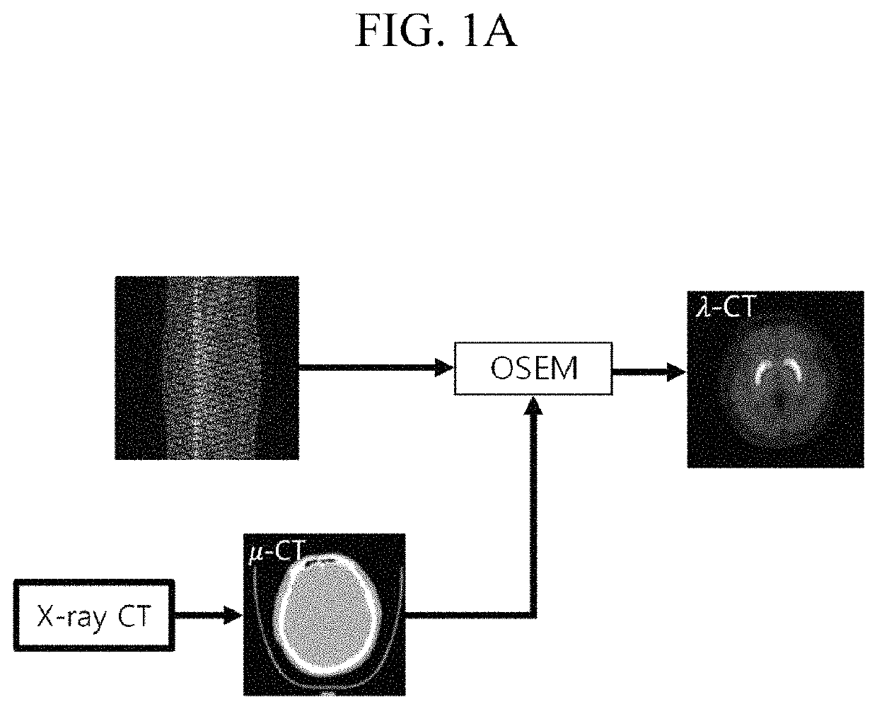 Positron emission tomography system and image reconstruction method using the same