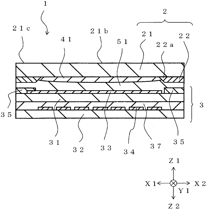 Input device and method of producing input apparatus