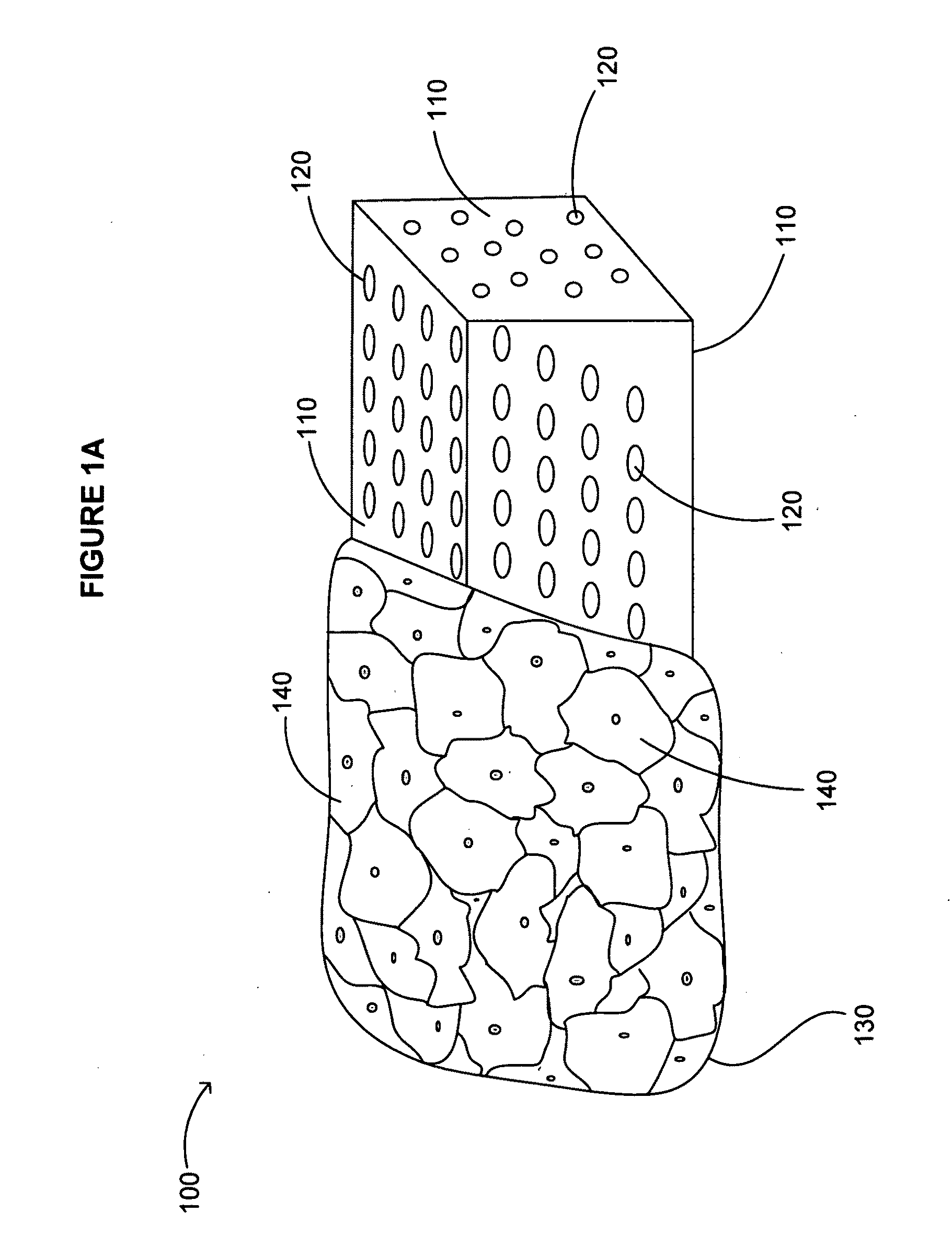 Device including altered microorganisms, and methods and systems of use