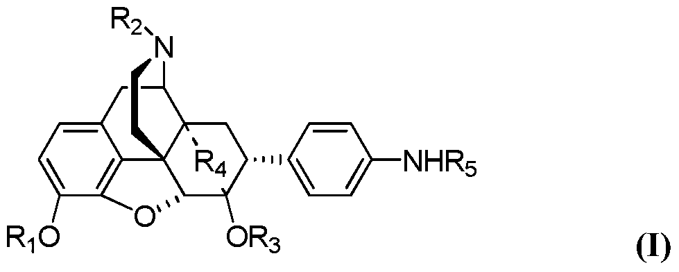 A kind of fused ring morphine derivative and its preparation method and application