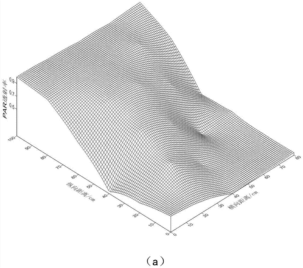 Quantization method of light space distribution of crop population