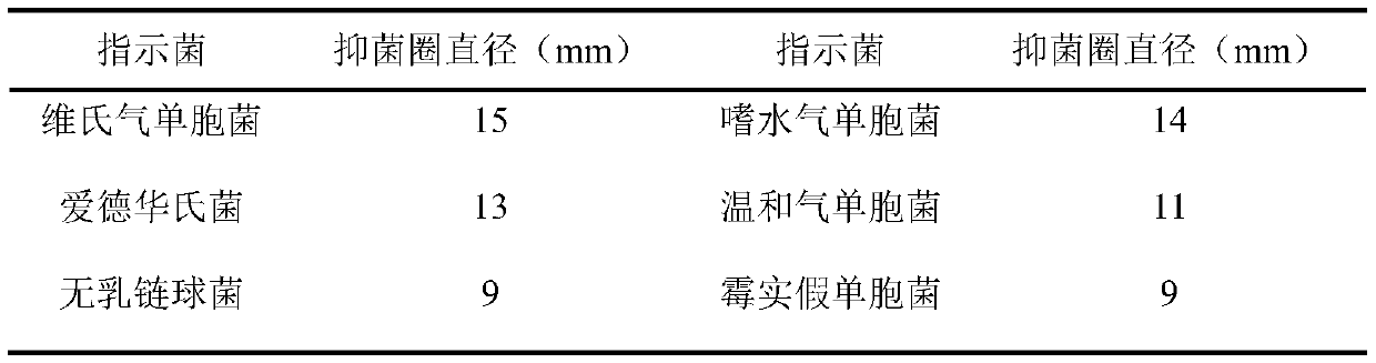 Compound bacterial agent containing bacillus methylotrophicus and application thereof in preparation of drugs for aquatic animal diseases