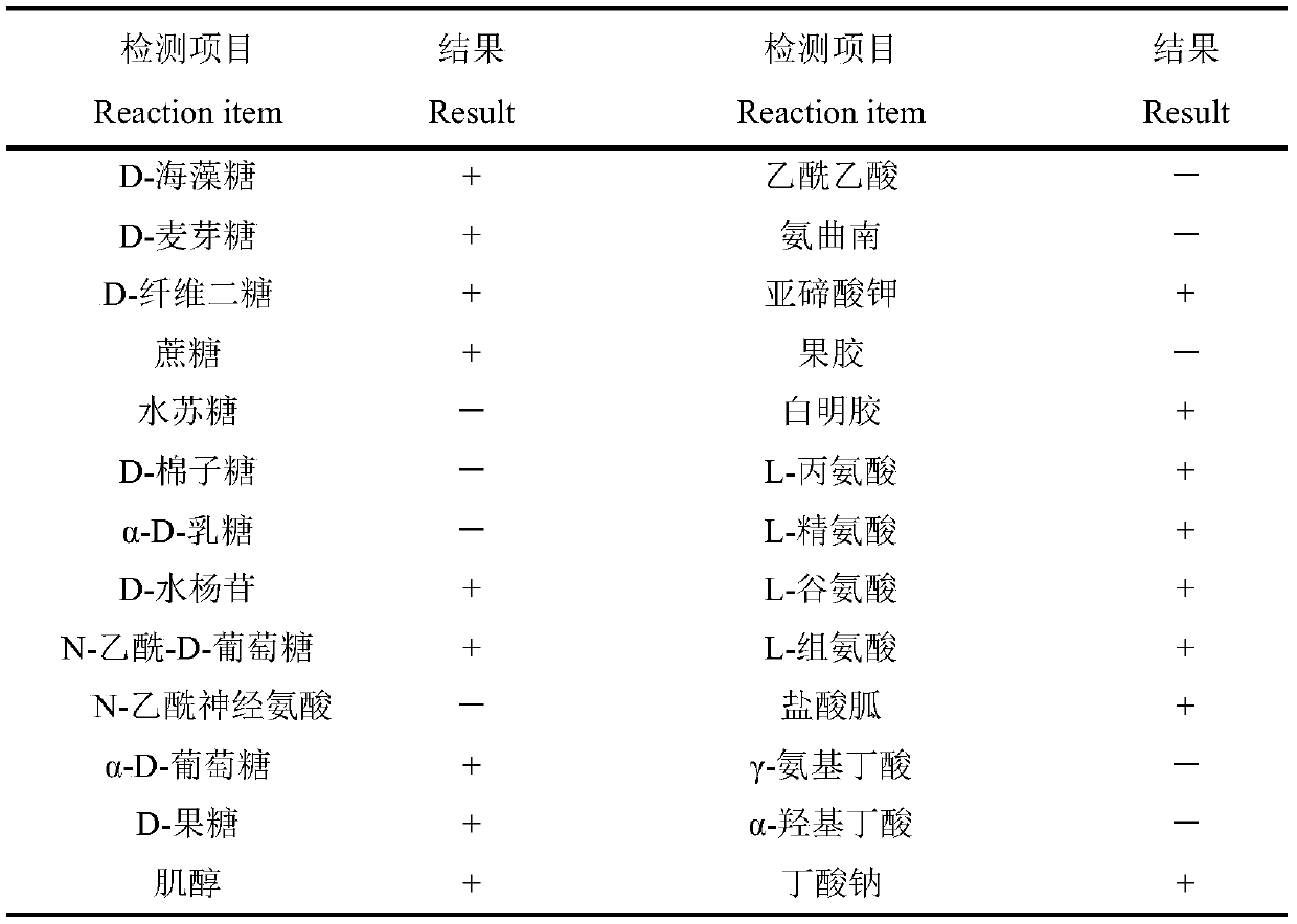 Compound bacterial agent containing bacillus methylotrophicus and application thereof in preparation of drugs for aquatic animal diseases