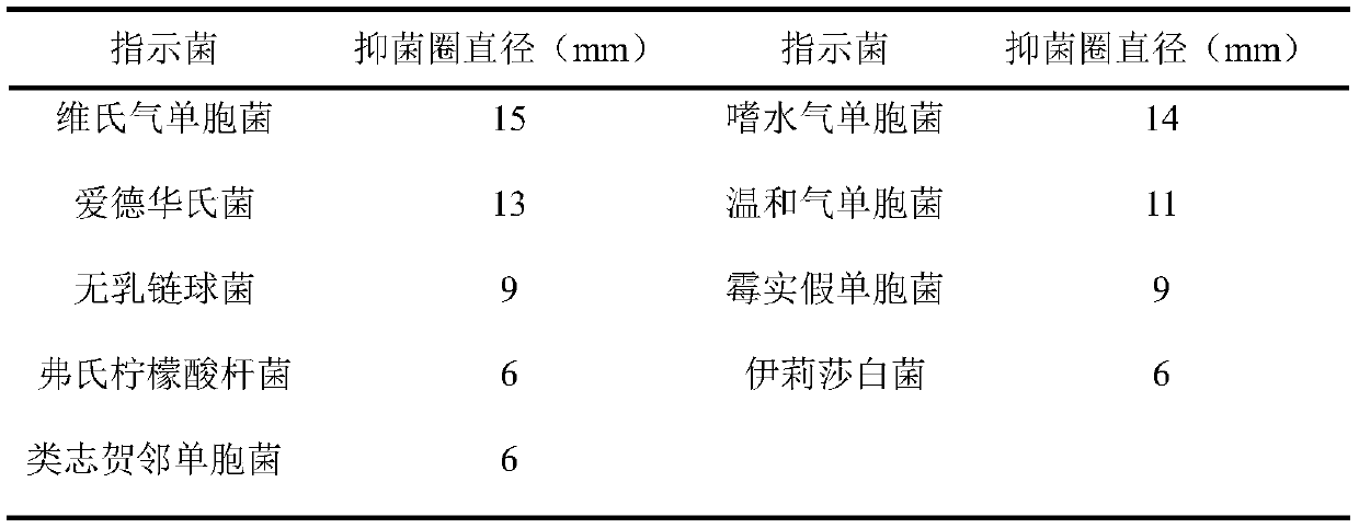 Compound bacterial agent containing bacillus methylotrophicus and application thereof in preparation of drugs for aquatic animal diseases