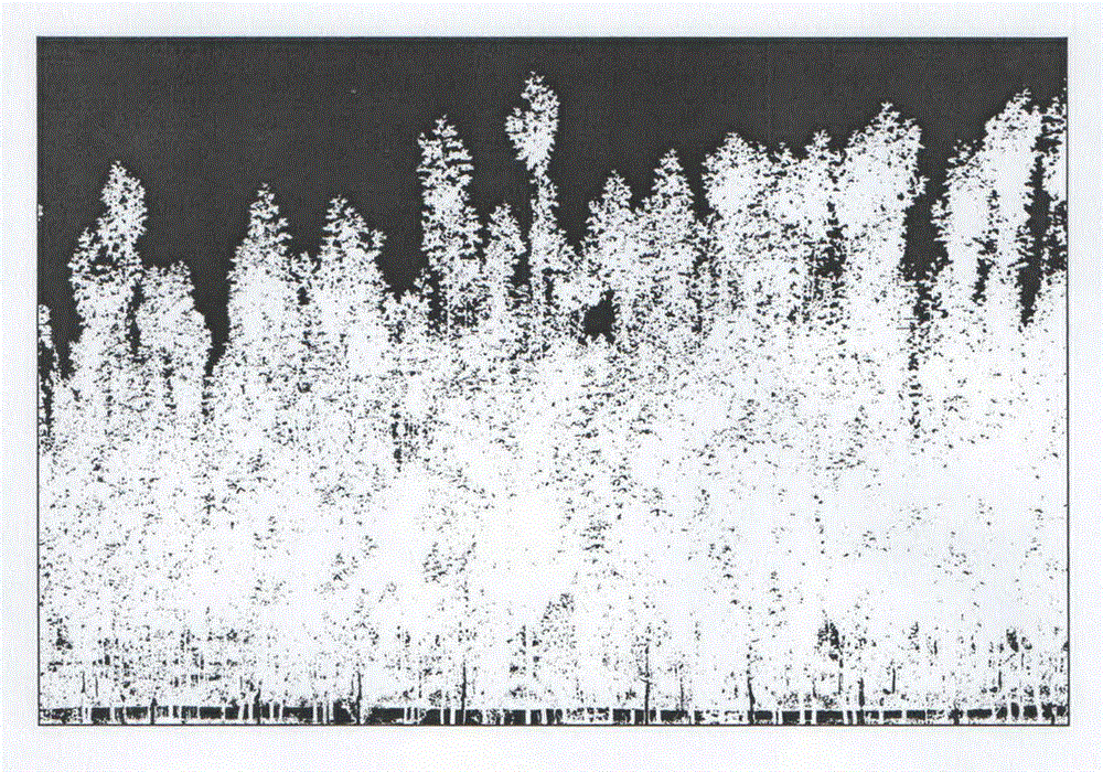 Rapid image analysis method for measuring porosity of forest belt