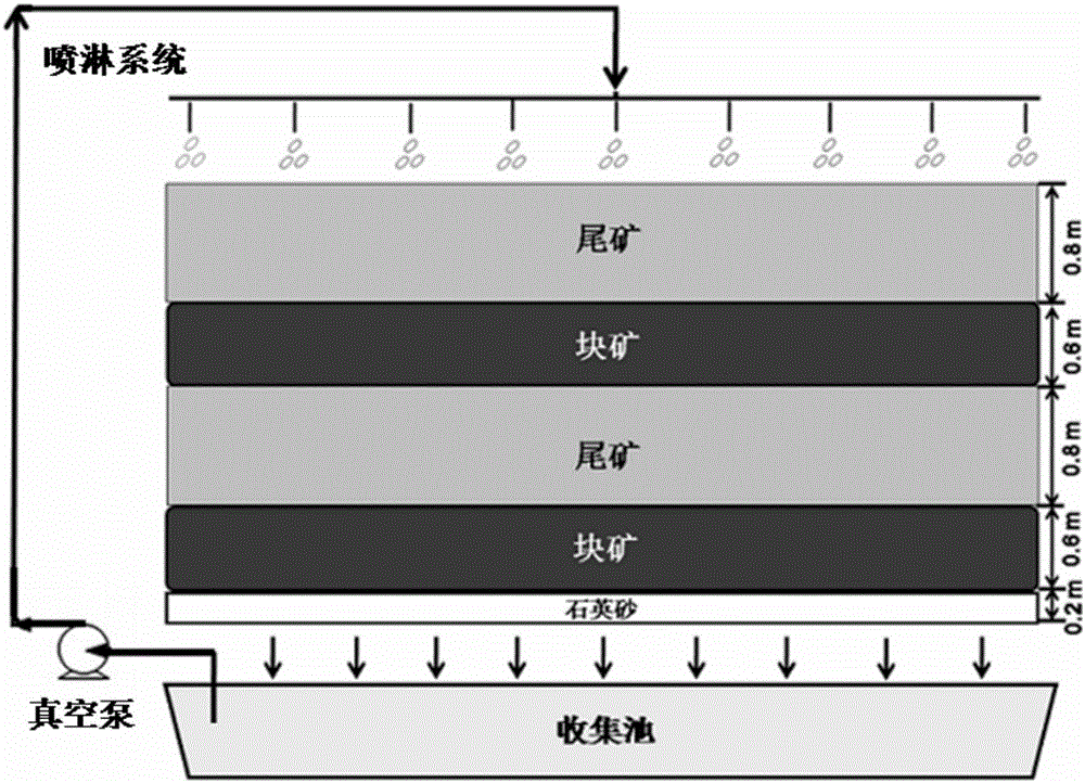 Method for disposing fine-grain-containing tailings on basis of biological lamina heap construction