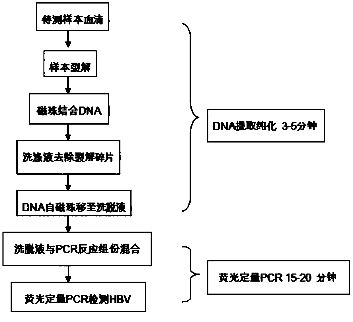 Full-automatic rapid hepatitis B virus nucleic acid testing reagent tube and application method thereof