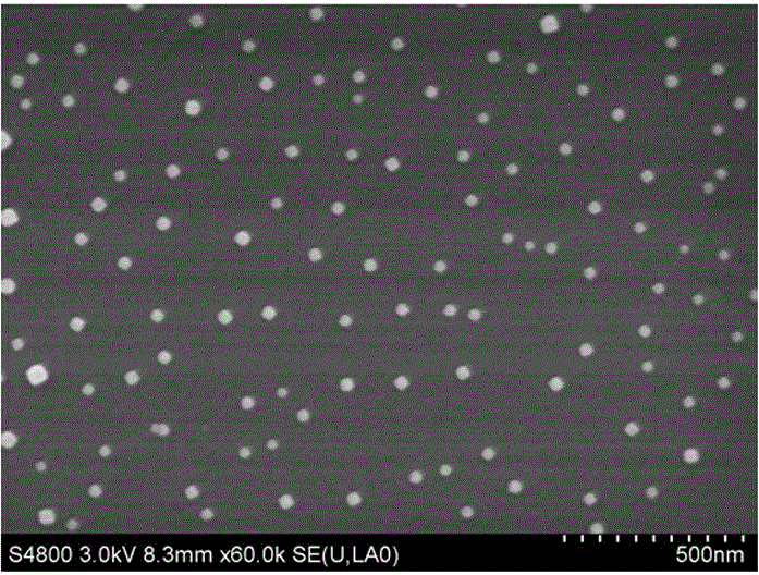 A kind of method that prepares nano-silver aqueous solution with modified glucose