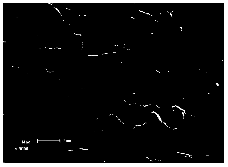 Polymer lithium ion battery diaphragm and preparation method thereof