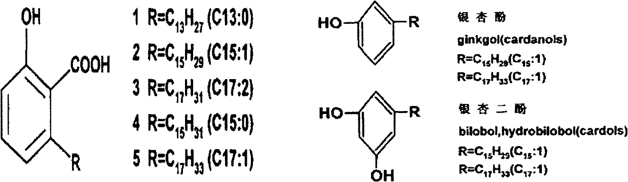 Application of ginkgolic acid in weight losing