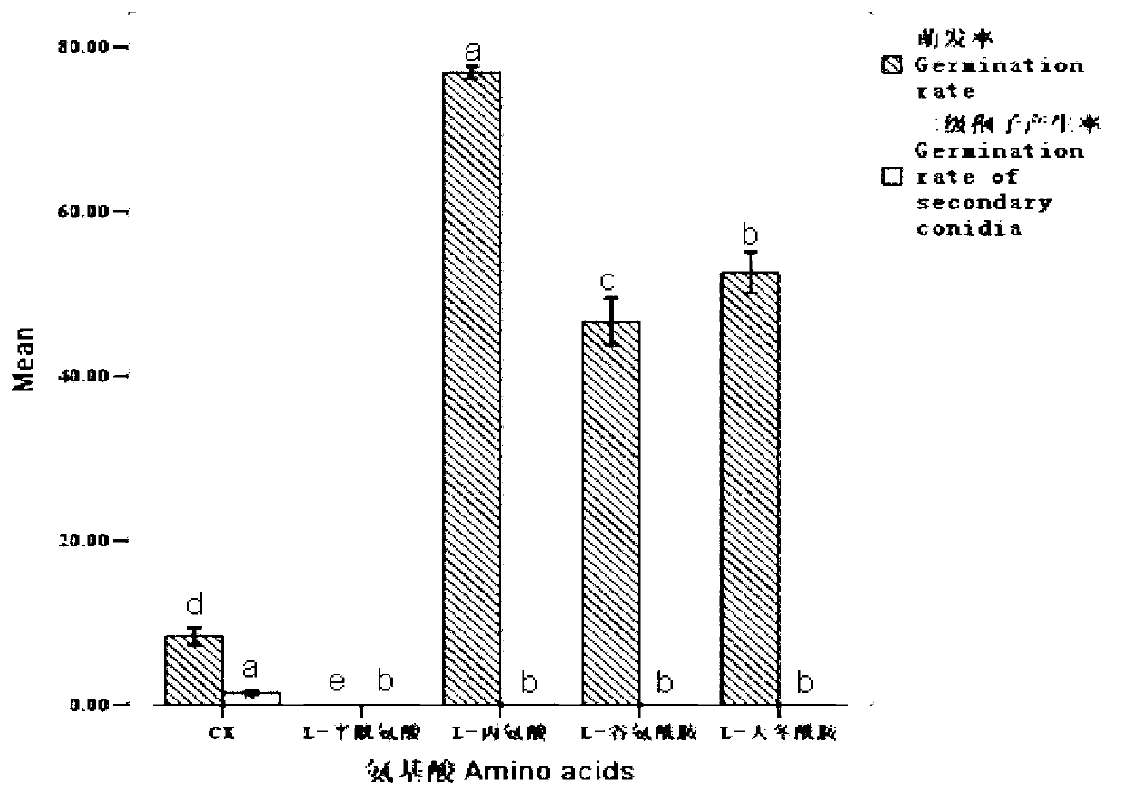 Compound preparation of nematode egg parasitical fungi and spore germination accelerating agent and application thereof