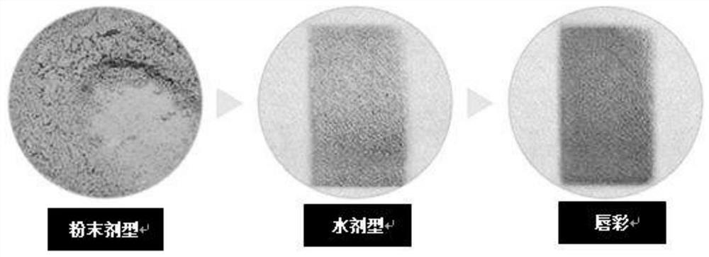 Long-lasting powder essence composition with improved hair color and feeling of use and preparation method thereof