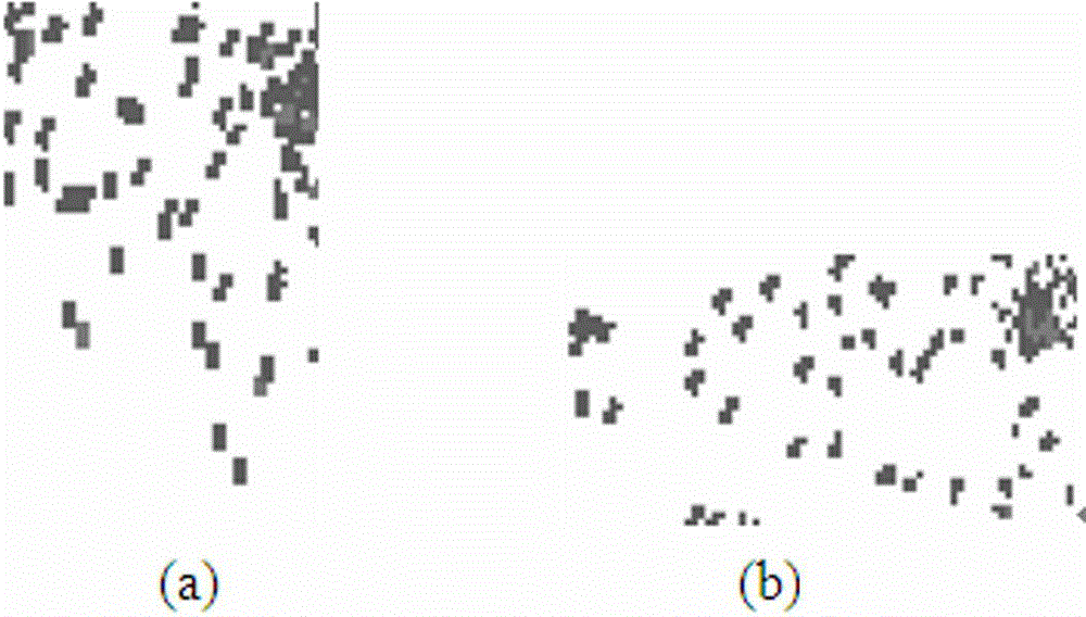 Linear feature extraction method for discrete data point set