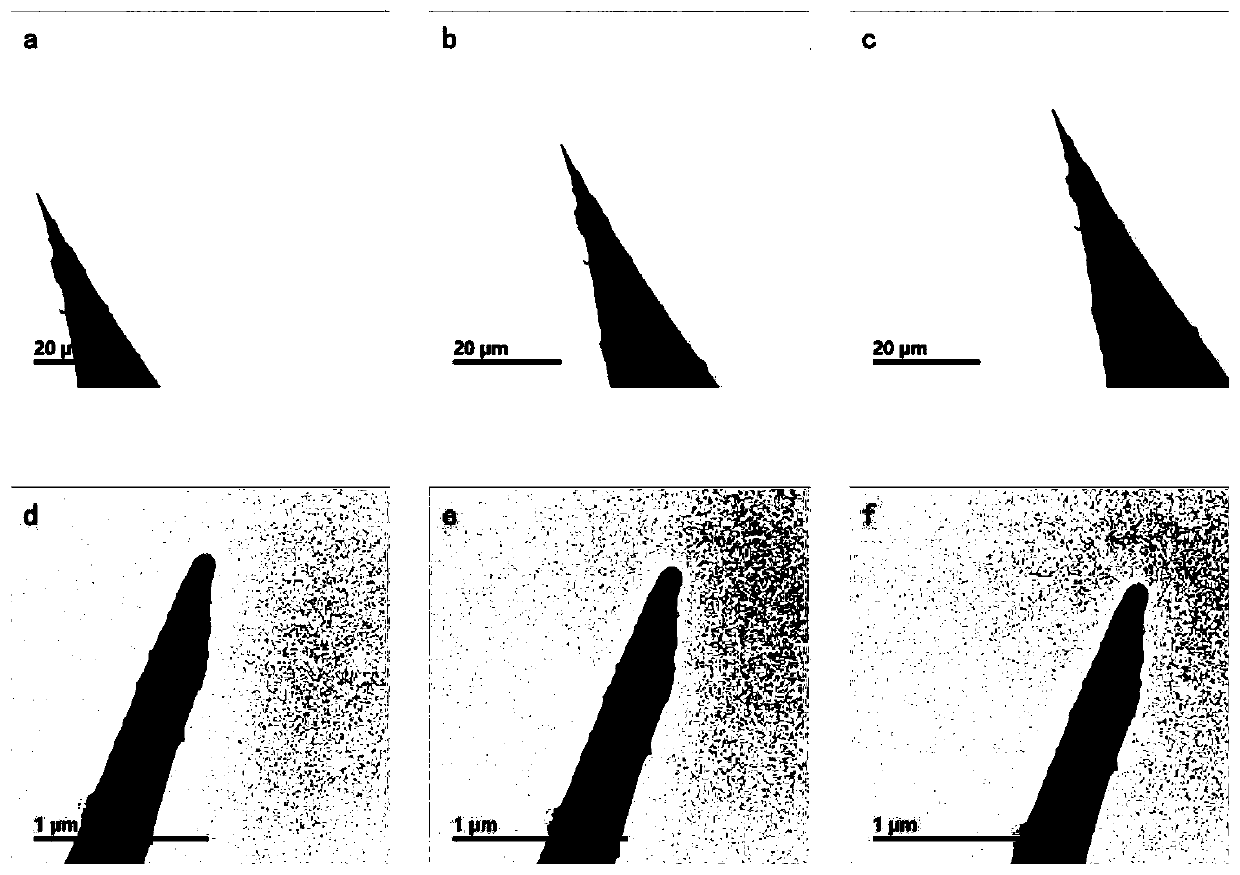 Method for in-situ dynamic three-dimensional reconstruction of sample by using multi-degree-of-freedom sample rod