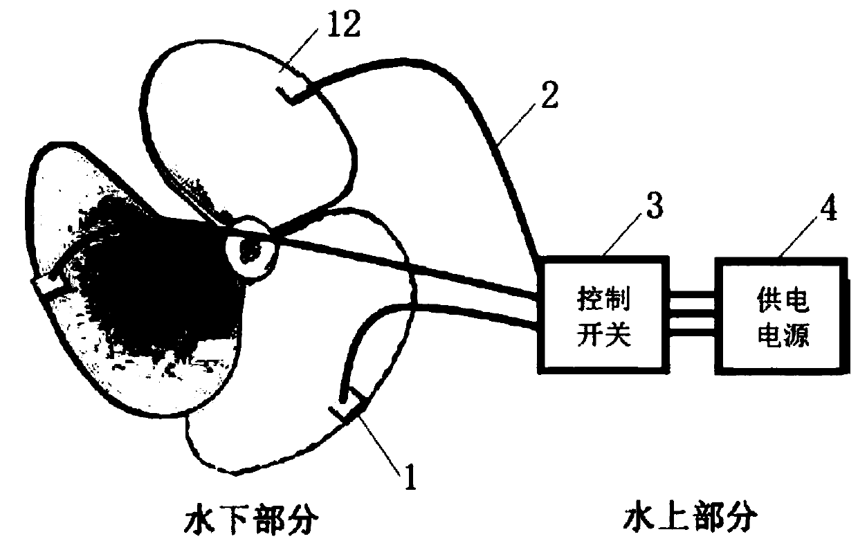 Device and method for preventing biofouling of marine propeller