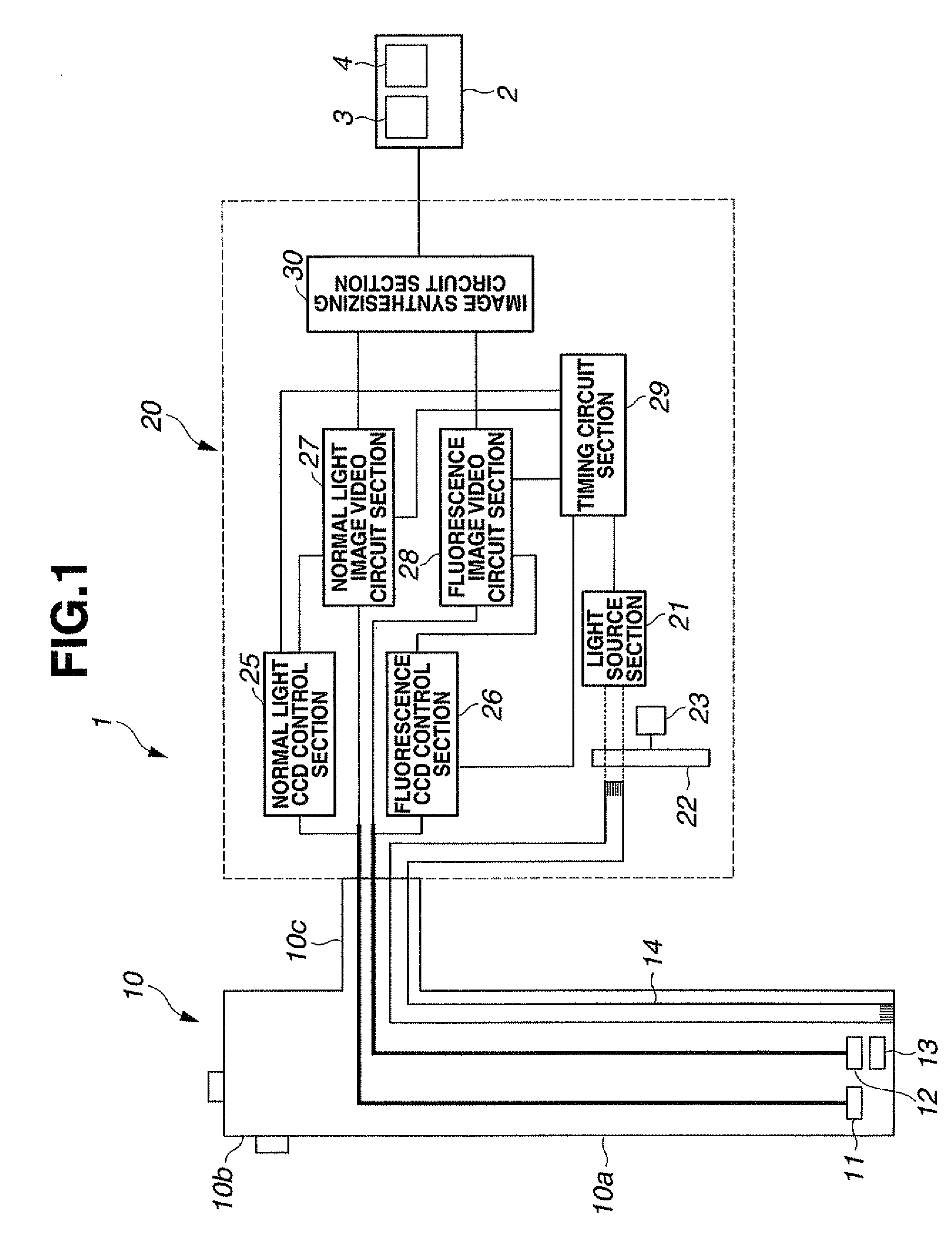 Endoscope apparatus and image processing apparatus