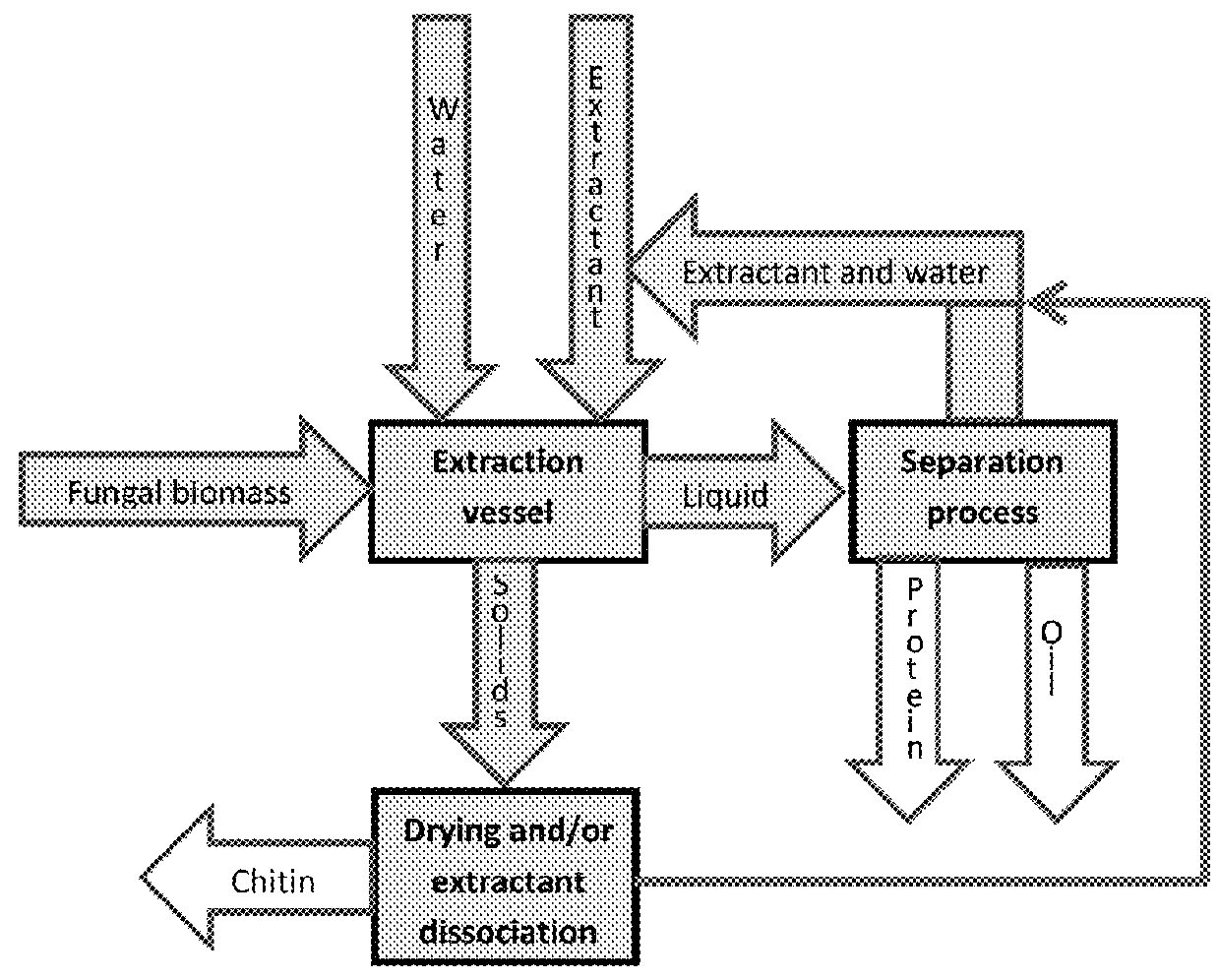 Processes for isolating chitin and chitosan from fungal biomass