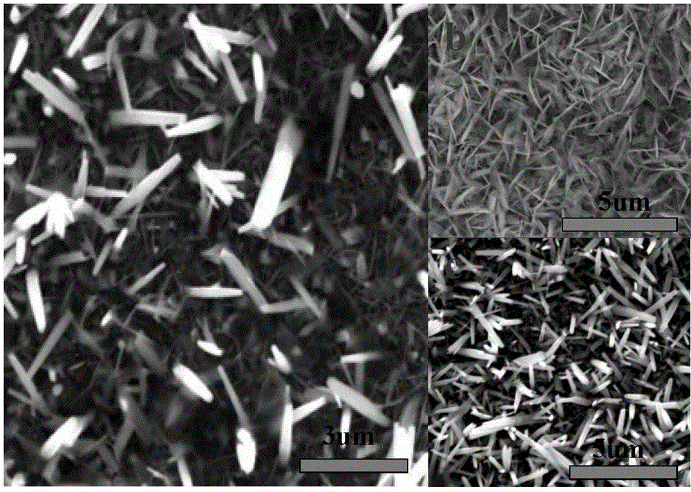 Preparation method of material adopting ZnO nanorod and ZnO nanosheet composite structure
