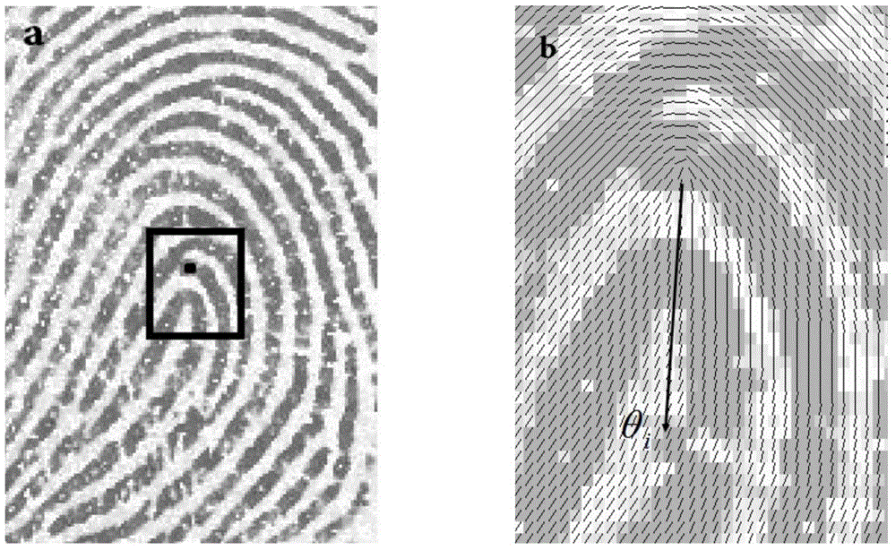 Fingerprint epipole accurate positioning method based on image spatial domain characteristic
