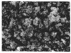 Multielement-doped lithium iron phosphate positive electrode material and preparation method thereof