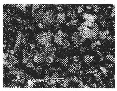 Multielement-doped lithium iron phosphate positive electrode material and preparation method thereof